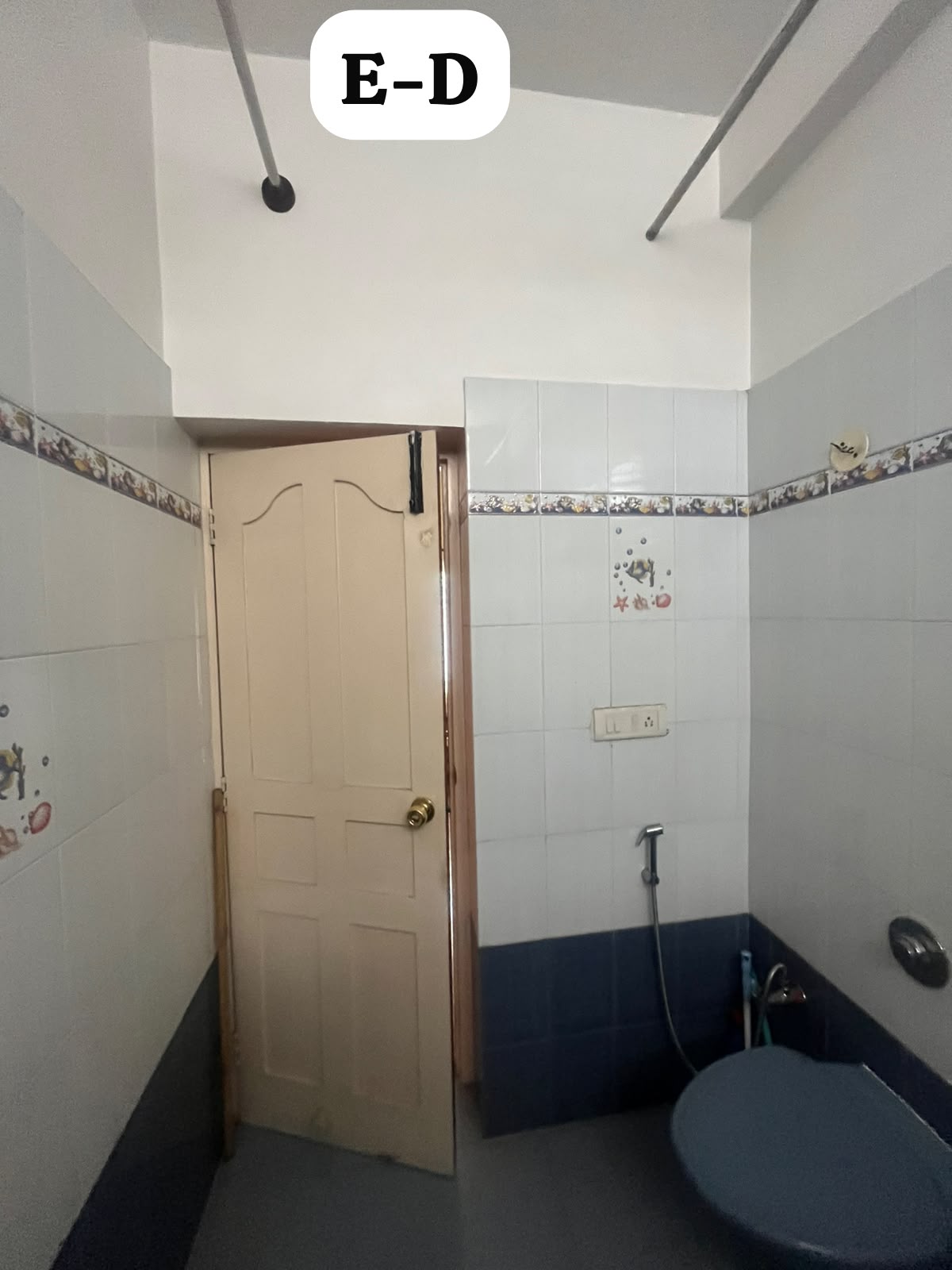 Existing door, dado tiles and toilet layout